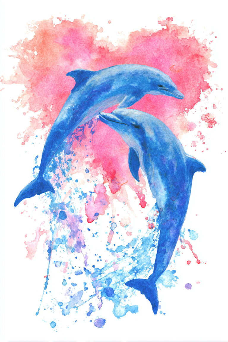 Dolphin Heart Splash