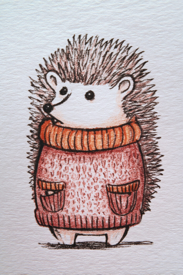 Hedgehog in Sweater Pockets