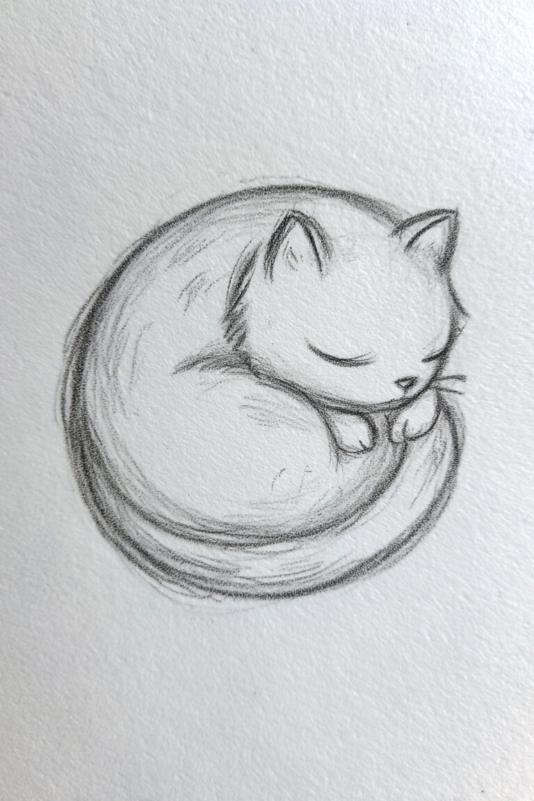 Cat Curled into Ball