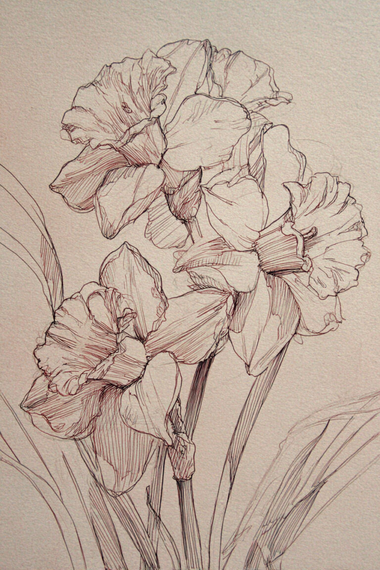 Daffodils in Bloom