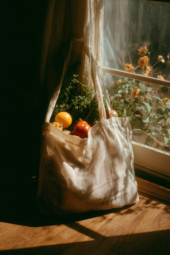 Grocery bag styled photography everyday object idea.