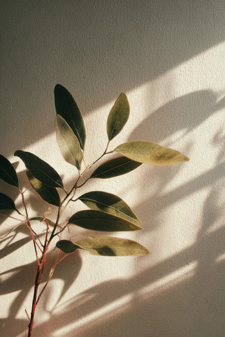 Shadowed Plant Leaves