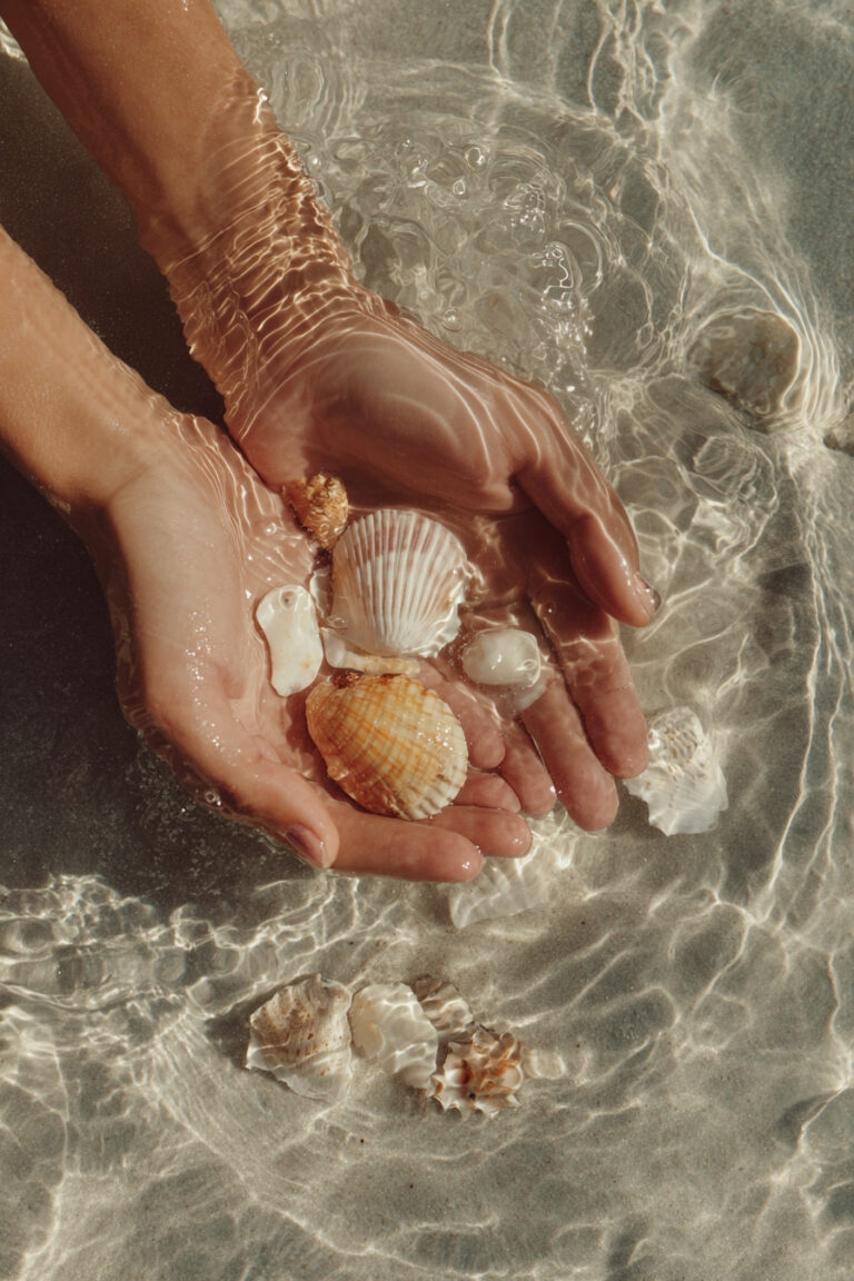Shell Discovery