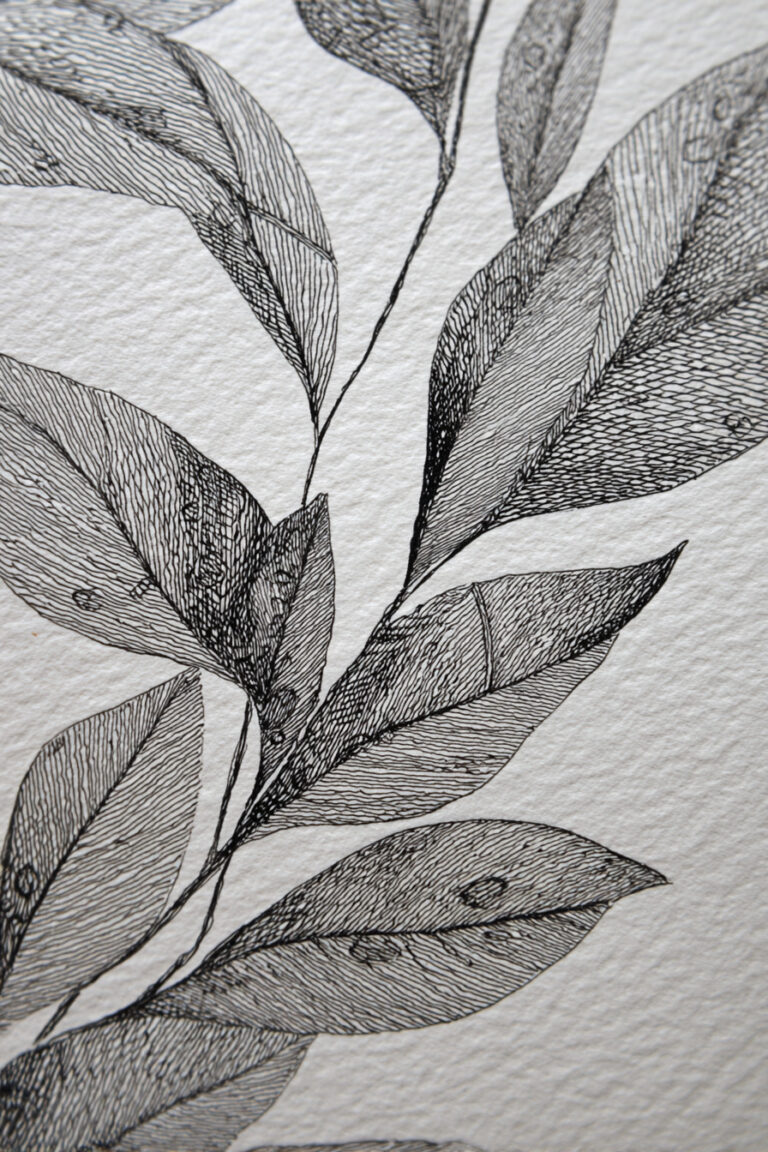 Spring Rain on Leaves