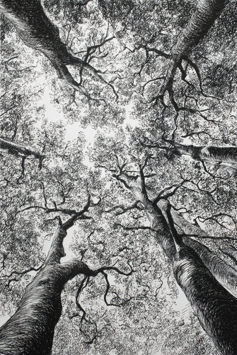 Spring Tree Canopy
