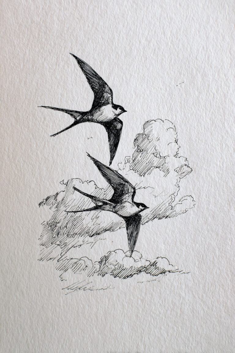 Swallows in Spring Flight