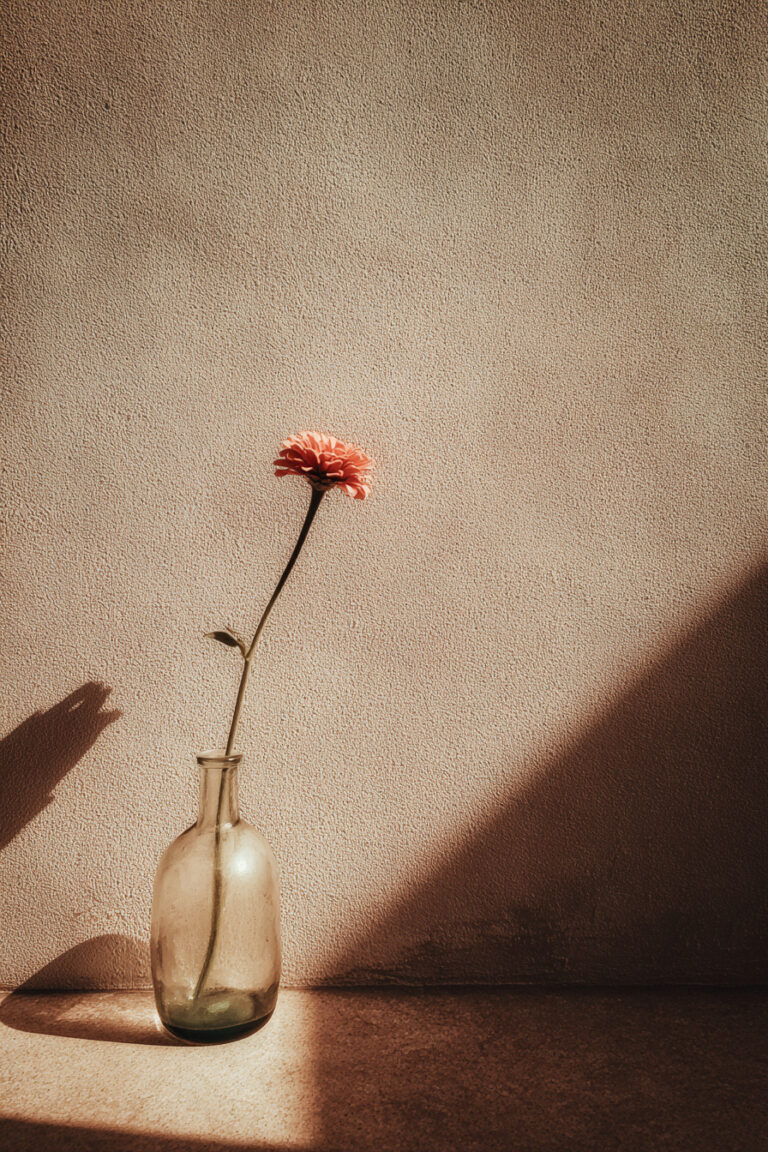 Vase with Single Stem