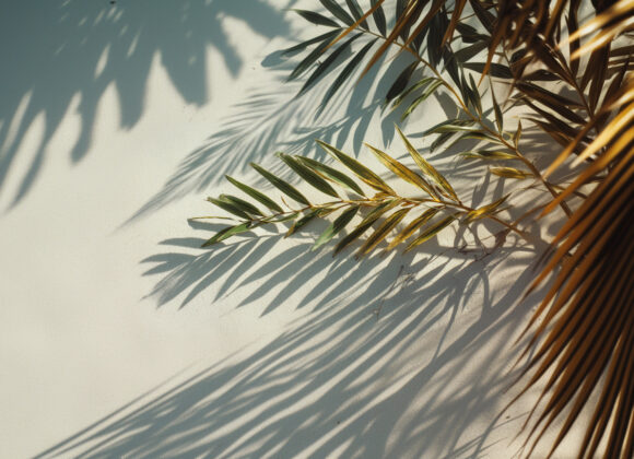 emthehuman1_pinterest_mobile_photography_of_a_Artistic_composit_7accb9ee-102a-4175-85b5-bc1c8823ef4f