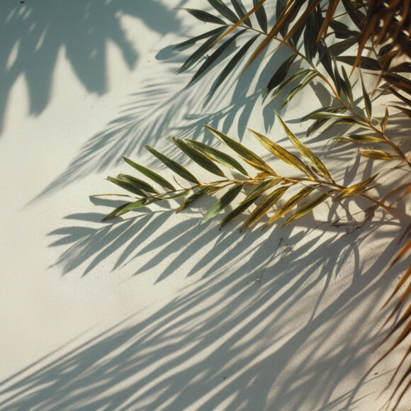 emthehuman1_pinterest_mobile_photography_of_a_Artistic_composit_7accb9ee-102a-4175-85b5-bc1c8823ef4f