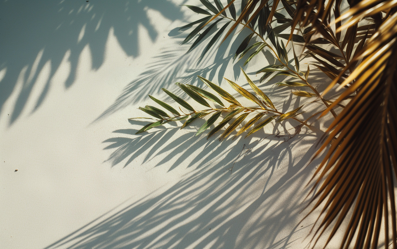30 Aesthetic Beach Photography Ideas with Coastal Vibe