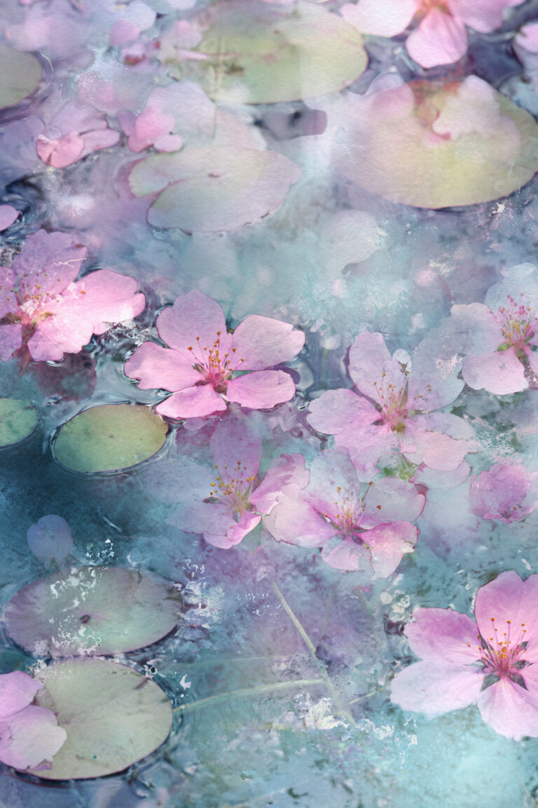 Blossom Reflection Pond