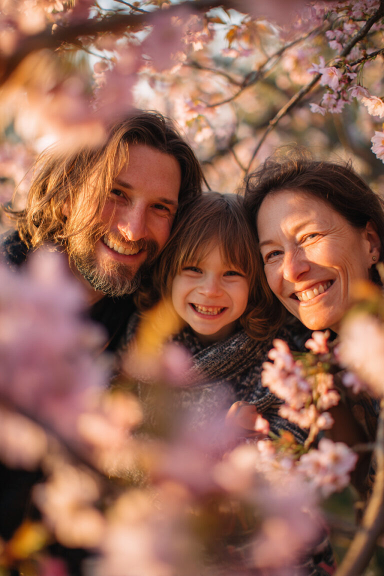 Cherryblossom Tree Peek