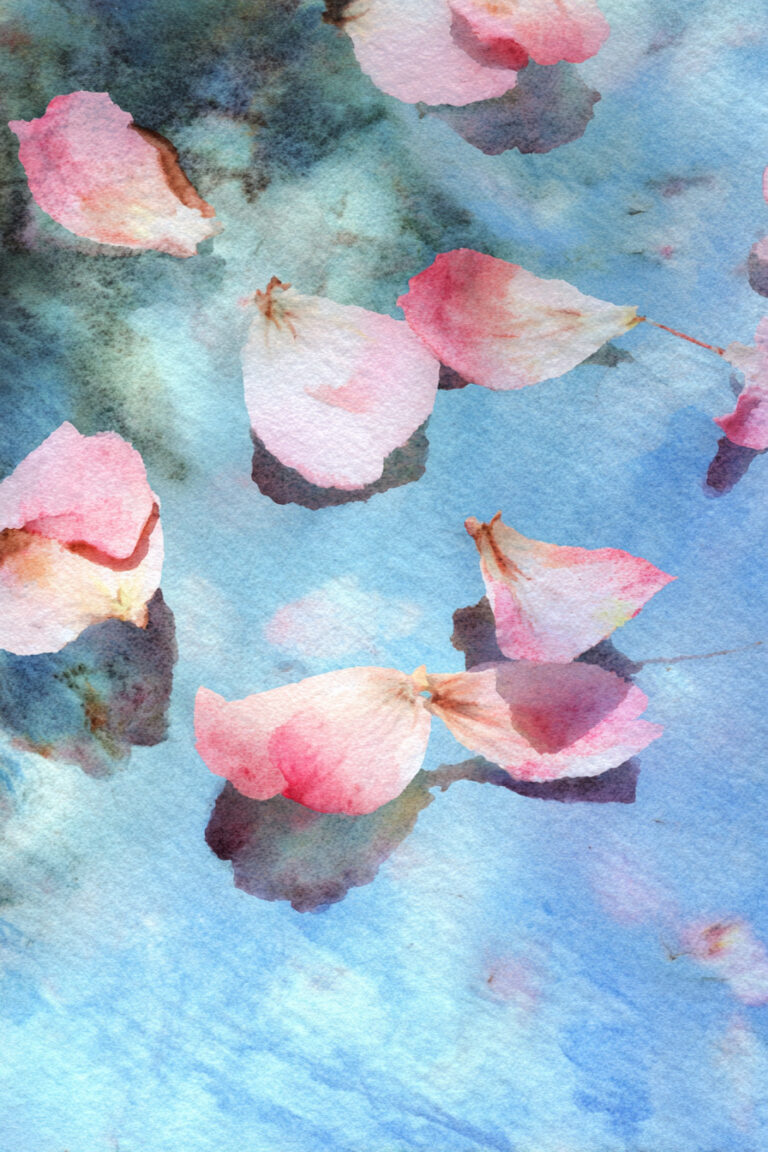Petal Dreams Afloat