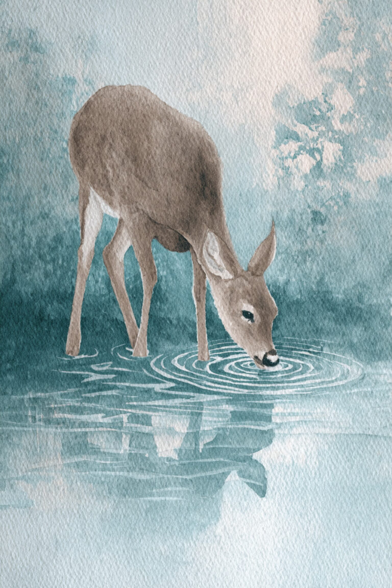 6. Rainy Day Doe at the Stream