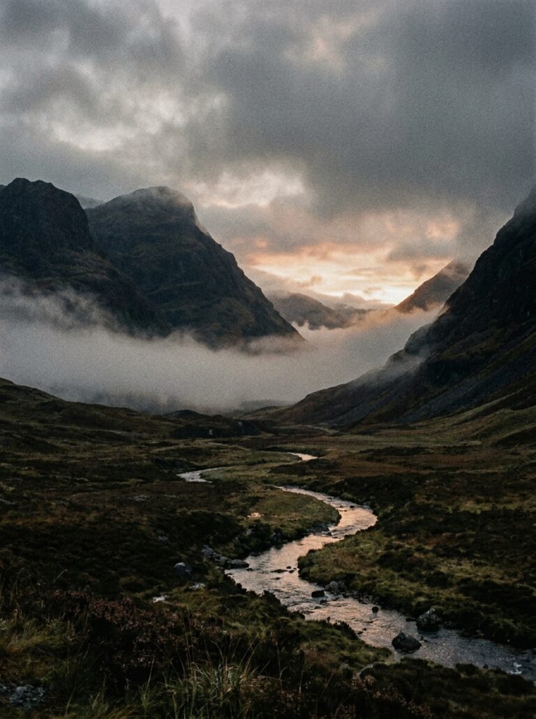 1. Misty Glen at First Light