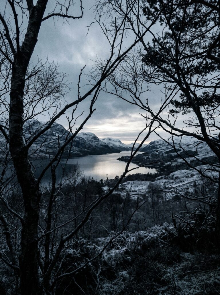 21. Sunset Through Glen Trees