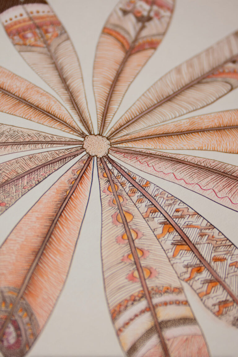18. Detailed Turkey Feathers