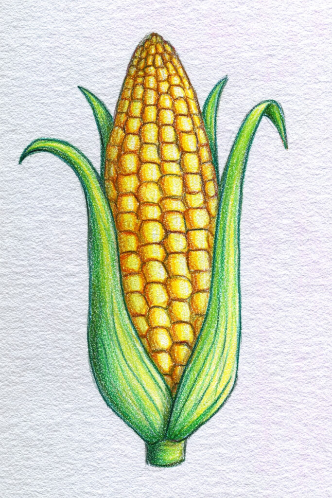 thanksgiving drawing ideas for kids Easy Corn on the Cob