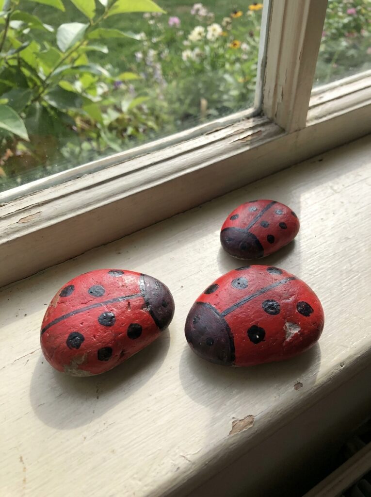 Seasonal Craft Ideas for Kids -Painted Rock Ladybugs