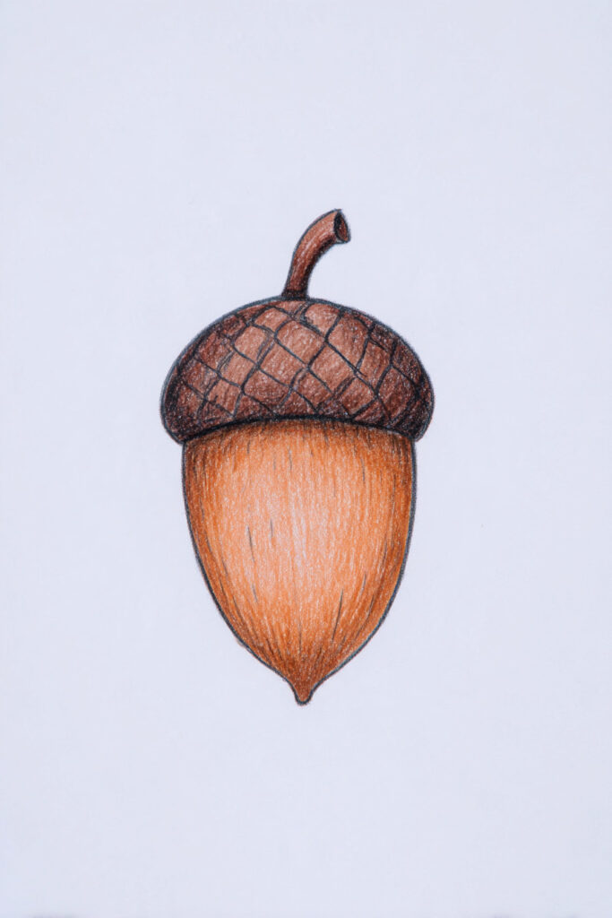 thanksgiving drawing ideas for kids Simple Acorn Drawing