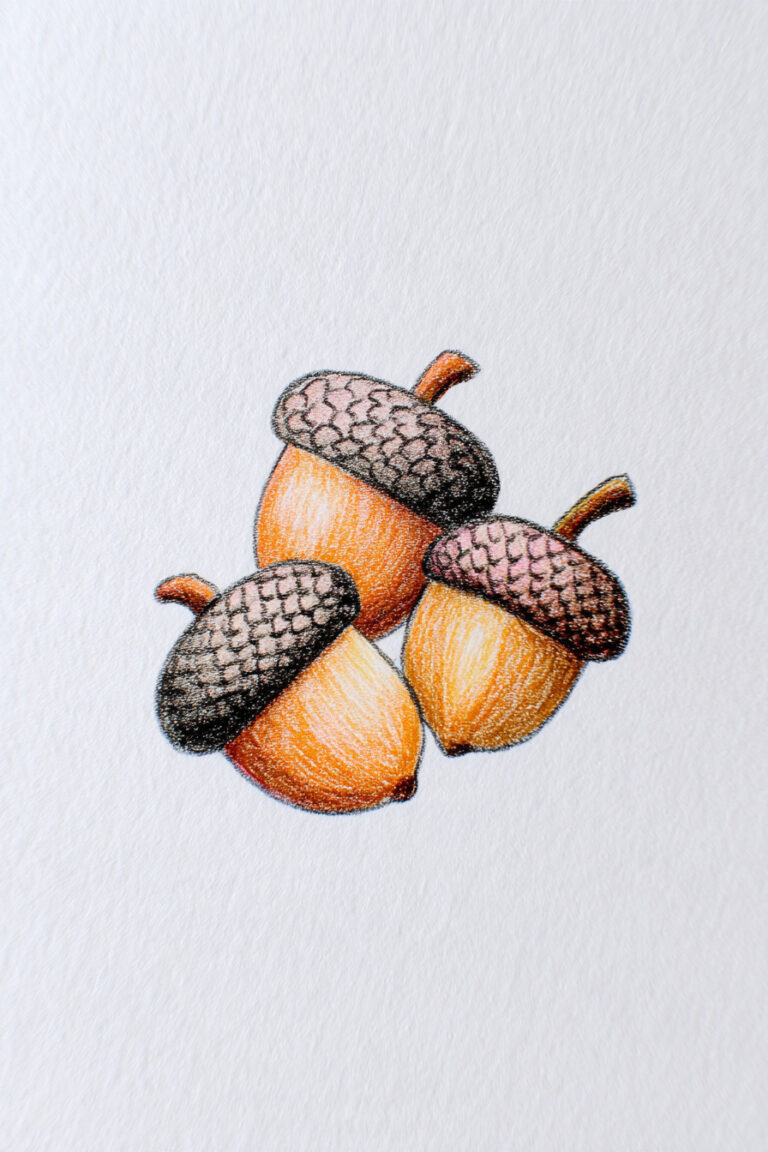 2. Tiny Acorn Cluster